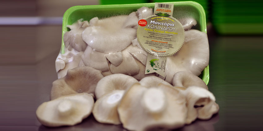 Μανιτάρια πλευρώτους