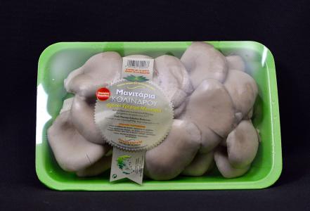 Fresh pleurotus mushrooms 500gr