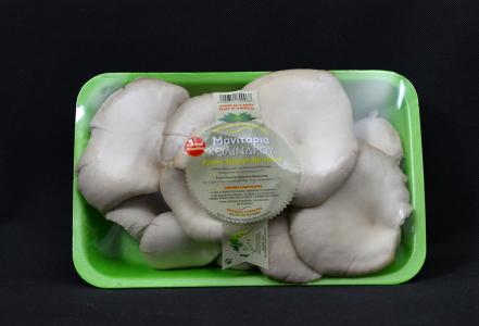 Fresh selected fillet of pleurotus mushrooms 500gr